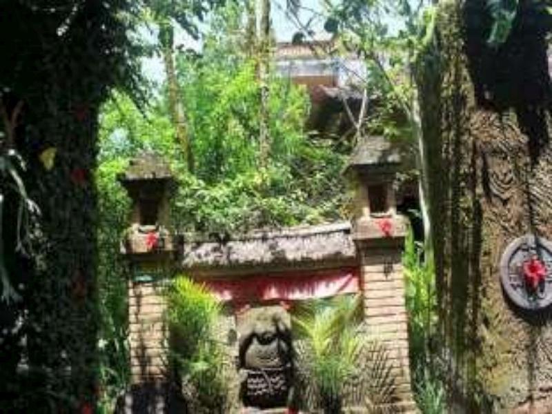 Mandia Bungalows Ubud Eksteriør bilde